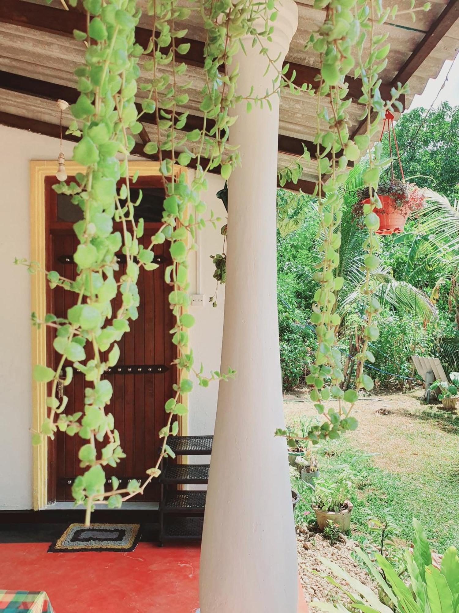 Sanu Home Stay Sigiriya Eksteriør bilde